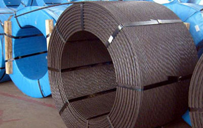 宁德预应力钢绞线厂 工作暂停 ⏸️ 极繁主义的短途出行清单